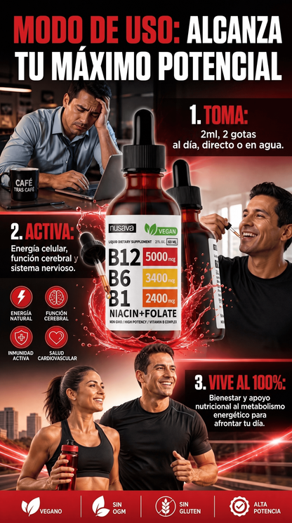 B12